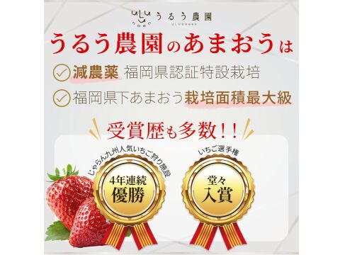 いちごの王様！あまおう苺 人気サイズ 270g×2パック デラックス等級【冬ギフト】