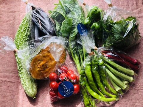 (単身者向け)未来へつなぐ 固定種・在来種 自然栽培野菜セット60サイズ　農薬不使用　有機肥料含む全ての肥料不使用