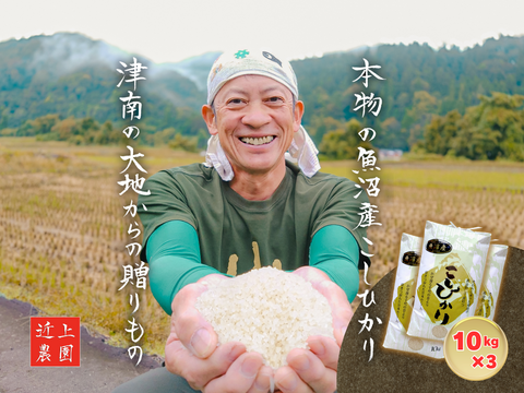 【農家直販！】令和7年産 魚沼産こしひかり玄米30kg