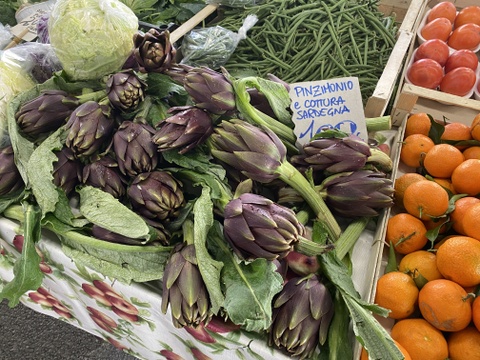 【期間限定】【朝どれ】希少な国産アーティチョーク（5～7個、約1〜1.2kg）農薬・化学肥料不使用