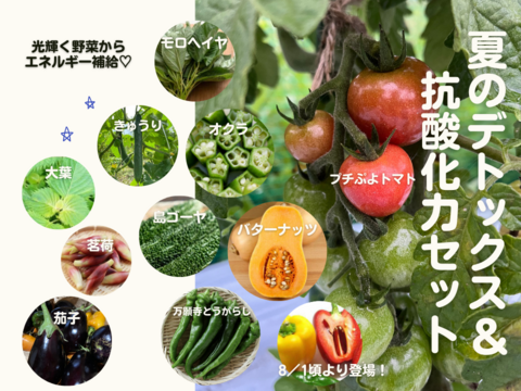 ツヤ肌野菜たっぷりの夏のデトックス&抗酸化力セット