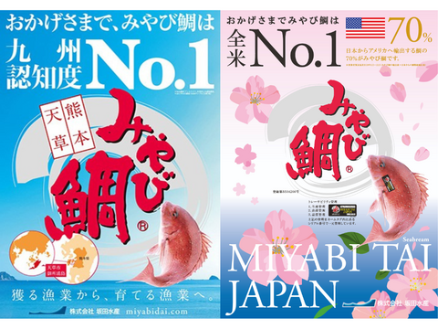 【祝い鯛に！】九州認知度NO.1！養殖真鯛といえばみやび鯛！みやび鯛 「まるごと一尾セット」 (生のみやび鯛約2kgサイズ)※冷蔵