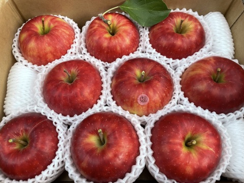 特選　ジョナゴールド　約3kg【2025年産】