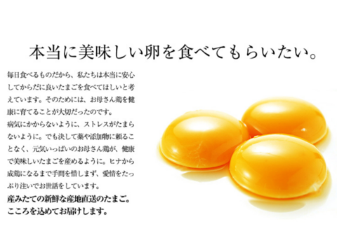 プリっと卵で栄養満点！！朝採りふるさと地たまご60個（破損補償10個含む） 食べチョク　通年冷蔵便【熨斗対応可】