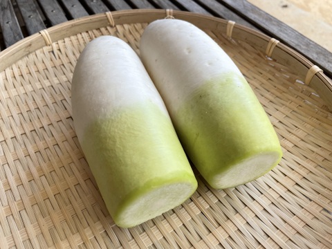 【年末感謝SALE】訳あり人参と訳ありミニ大根セット