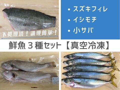【訳あり・特別価格】鮮魚３種セット（スズキフィレ・イシモチ・小サバ）【急速冷凍・真空・下処理済】