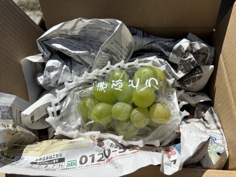 黄玉ぶどう⭐︎至福の甘味と味わい♪おためし1房自宅用