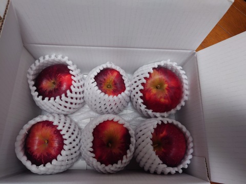 ～🍎陽だまりりんご🍎～お菓子作りに最適です！『太陽の恵みいっぱい紅玉』【家庭用】お試しサイズ６個から１２個入り