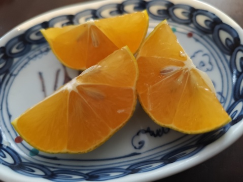 数量限定！希少品種の赤れもん(３kg)✿果皮や果肉が赤い珍しい国産レモンです🍋