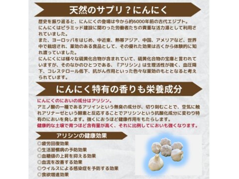 旨味と甘み凝縮！熊本県産『生にんにく』【訳あり】ご家庭用１ｋｇ/袋