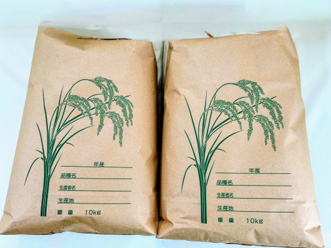 【令和7年産  新米】こしひかり玄米20㎏