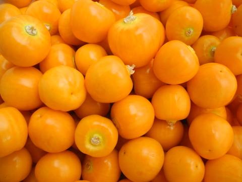 《普段飲み・ご家庭用に》「飲む宝石」有機ほおずき100％ジュース720ml×2本セット