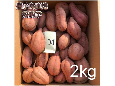 【絶品】aimo農園｜安納芋 Mサイズ 2kg(箱別)
