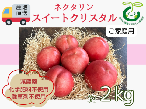 生産農家直送  ネクタリン スイートクリスタル ご家庭用 2kg 長野県産 化学肥料不使用 除草剤不使用 人にやさしく環境にもやさしい農産物