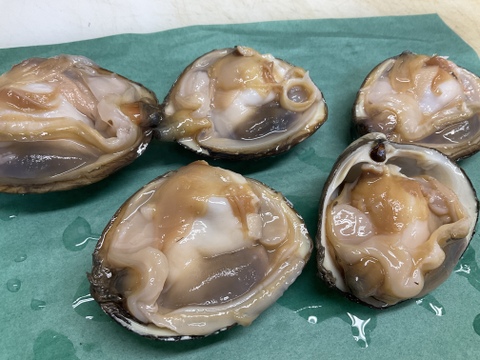 ホッキ貝/スチーム処理済/ハーフシェル/200～300ｇ/5個/そのまま焼きやBBQ可能【冷凍】