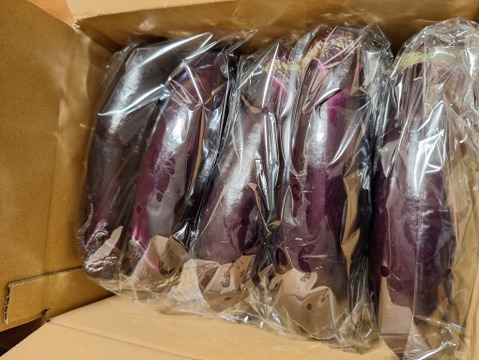 -記憶に残る茄子-　特別栽培　石田茄子　10本