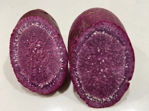 九州佐賀県産七つの島　食す美容『高島の紫宝その壱』原料アヤムラサキ２Kg