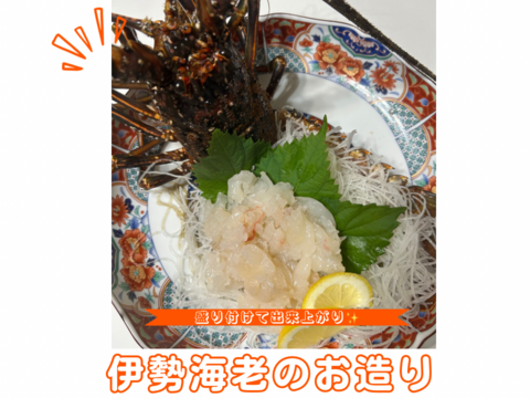 五島列島産 伊勢海老 600㌘