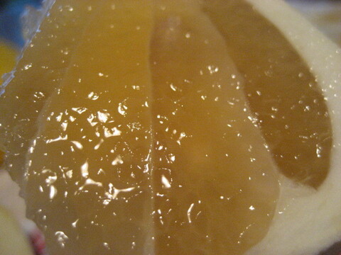 【母の日ギフト】【メッセージカード付き】朝採りニューサマーオレンジ２kg贈り物箱　農薬・肥料・除草剤不使用