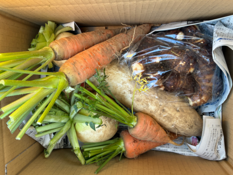 【訳あり】煮物に最適！　固定種の野菜セット11月 (霜月)