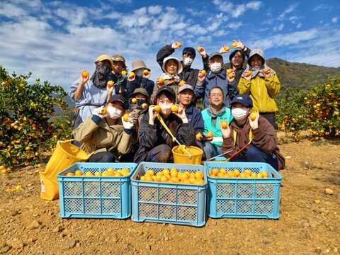 陽だまりファーム 三ヶ日青島みかんジュース ストレート100％ 720ml 3本セット　スクリューキャップ