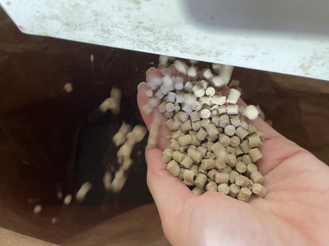 【有機JAS認証米】【農薬不使用】【化学肥料不使用】妙高産コシヒカリ（5㎏）