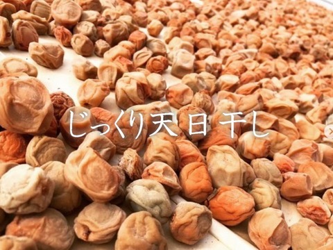 【訳あり】大つぶれ梅干し　1kg　冷蔵品