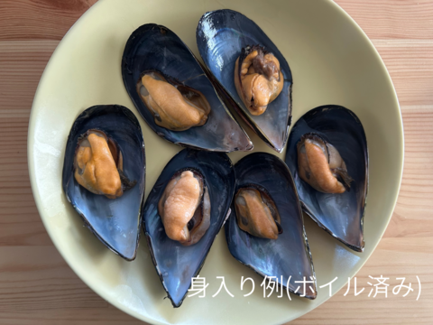【天然✨陸奥湾産】活ムール貝【1Kg〜】