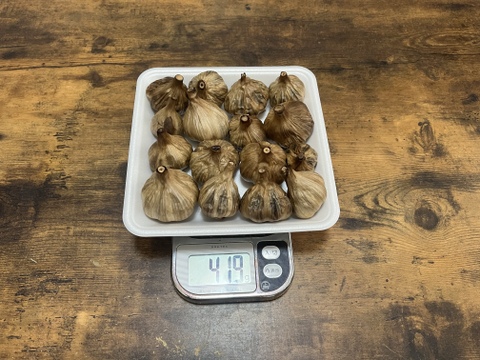 28 自然栽培　黒にんにく 人気　サイズいろいろたっぷり16個　令和4年度新物　食べやすくて美味しい