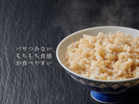 【お試し3ｋｇ】もっちりミルキークイーン玄米　パサつかなくて食べやすい　静岡県　令和4年産　酵素玄米、寝かせ玄米に