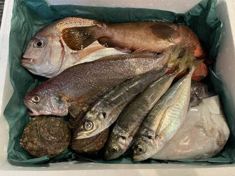 【数量限定】瀬戸内の鮮魚 2kg詰め合わせ！(3〜6種類)80サイズ