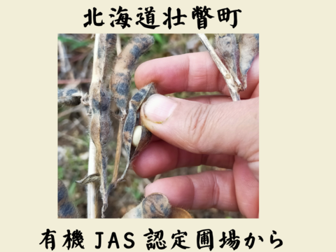 使いやすい1kg梱包 農薬不使用の有機大豆　優しい味わい　北海道の大地で育ったとよまさり 1月20日ころから発送予定