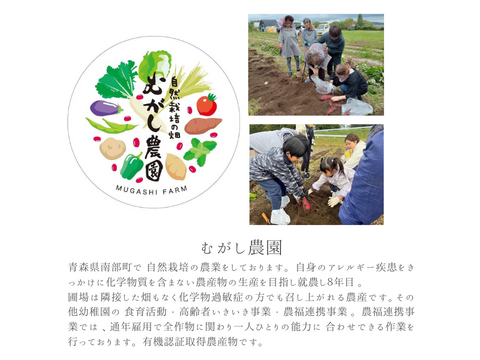 有機JAS認証野菜 さつまいも ご家庭用 サイズ混合 5kg