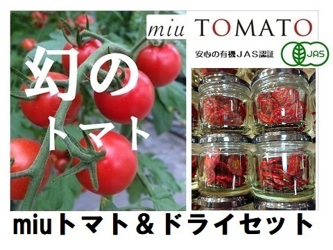 人気【2000g&ドライ×４】 名古屋の《甘》有機栽培オーガニックミニトマト【飯田農園】miuトマト🍅