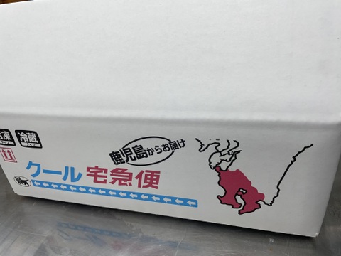 釣りたてピカピカ✨太刀魚　冷凍真空パック　8枚セット