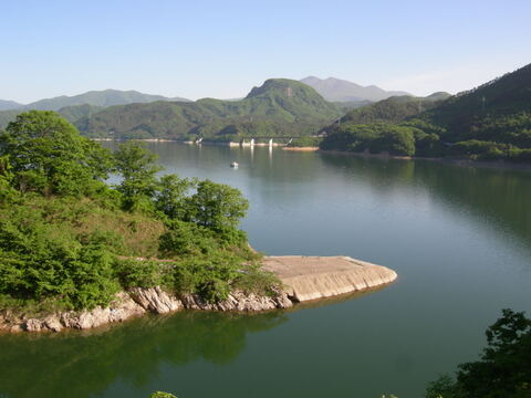 【2026年優先予約】！初物を優先発送(4月中旬)！太い行者にんにく1kg　「やわらか若葉」幻の山菜