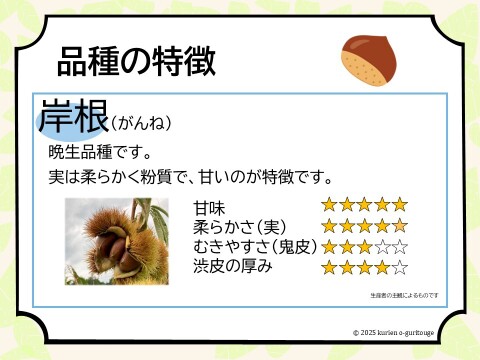 ☆丹波くり　晩生 「岸根」 3Lサイズ 約1kg（本州のみ）