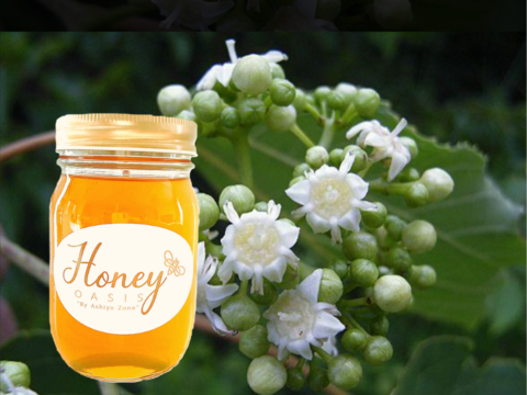 【非加熱･無添加】こだわりの国産はちみつ　ケンポナシ　500ｇ　健康志向の方に！