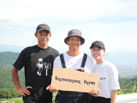 山梨県産　巨峰　2キロ（4房〜6房）