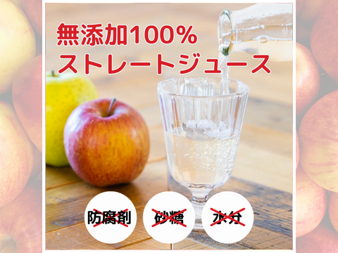 【夏ギフト】青森県産リンゴづくしセット