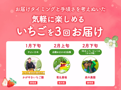 【限定100セット】こだわりいちご便🍓（食べチョク公式）