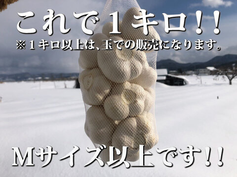 【300円OFFクーポン】令和４年産 １キロ 青森県産にんにく 最高級品種 ホワイト６片 家庭用玉