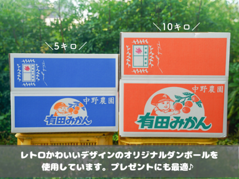 弾ける果汁！ 濃厚！ 有田みかん 5kg 和歌山産