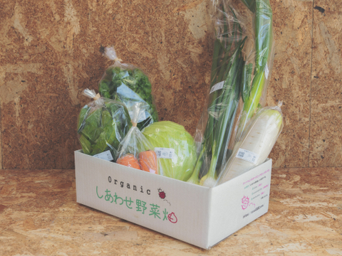 旬の有機野菜Sセット　しあわせ野菜畑（有機JAS）