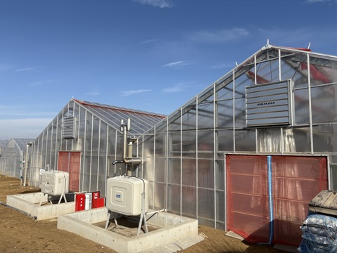 ビタミンCたっぷり！船橋産完熟いちご【おいCベリー】230g×2p