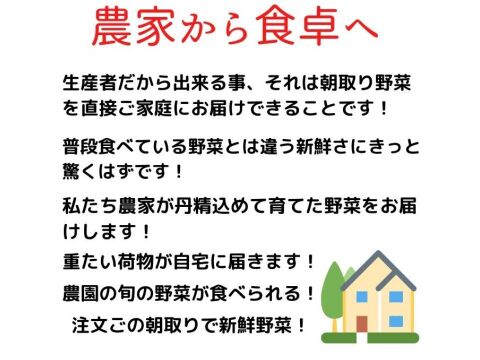 米3kg＆野菜【4～6品】セット