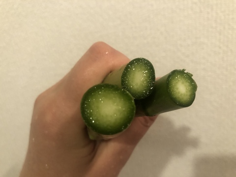 【春芽】味と食感にこだわった\有機農家の作る！露地栽培のみずみずしく柔らかいアスパラガス800g/