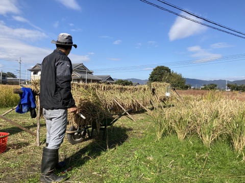 いつもの白米に＋サプリメント米「黒米(もち系)」1kg