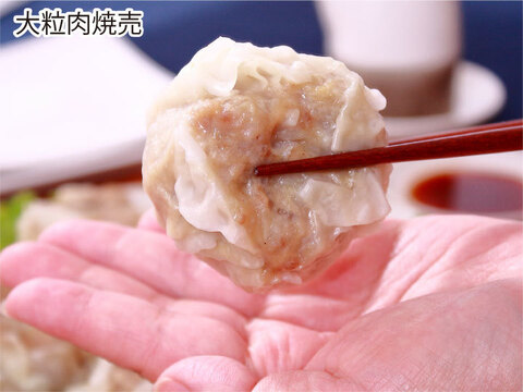 【ギフト】ジャンボ焼売を2種楽しめる　元気豚 焼売2種セット（2種4品）【熨斗対応可】