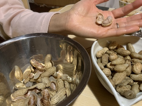 奥出雲産自然栽培生ラッカセイ(500g)